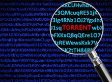 Download Torrents Securely & Anonymously with VPN