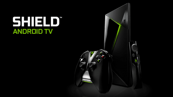 How to Hide IP address on Nvidia Shield