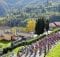 How to Watch Giro di Lombardia 2017 Live Online