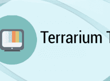 How to Install Terrarium TV on Kodi Android TV Box