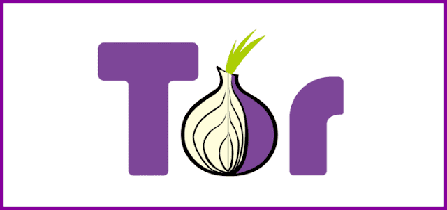 Best VPN for Tor