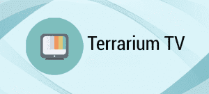 Best VPN for Terrarium TV