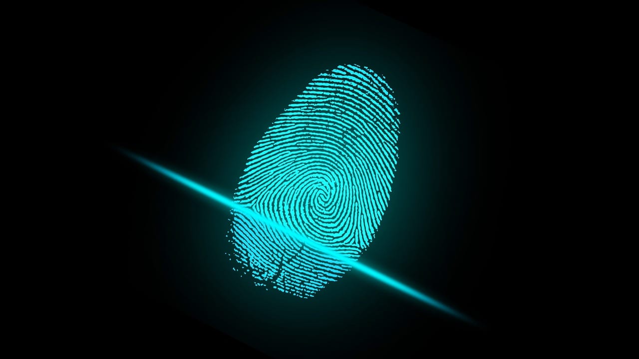 Do Biometrics Pose a Risk to Privacy?