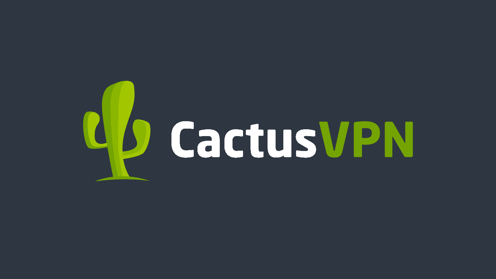 CactusVPN 2020 Review