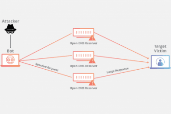 What are DDoS Attacks