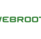 How to Unblock VPN on Webroot