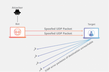 What are DDoS Attacks