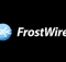Best VPN for FrostWire