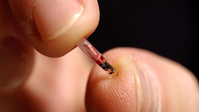Rice-Sized Microchips in Your Thumbs? Sweden Says Yes!