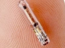 UK Employees May Soon Have Microchip Implants