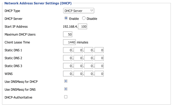 DNS Settings on DD-WRT
