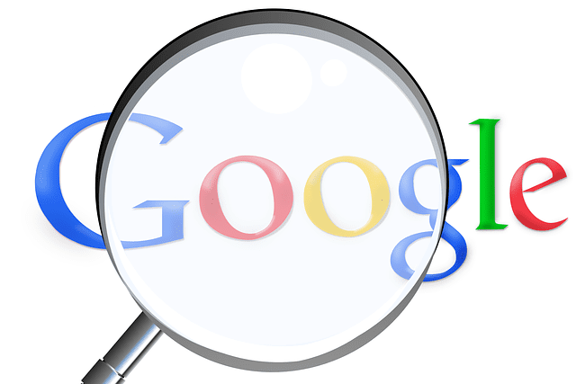 Google's New Privacy Feature Deletes History