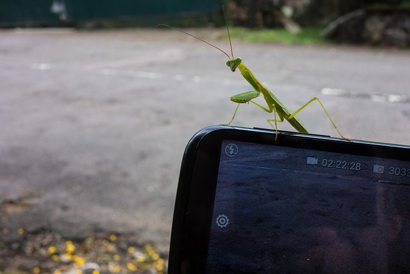 Roaming Mantis Distribute Wroba Malware