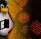 Symbiote Malware Targets Linux