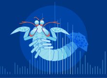 The Mantis Botnet DDoS Attack