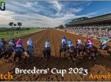 How to Watch Breeders Cup 2023 Live Online