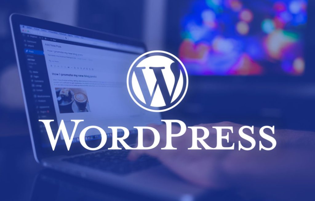 WordPress Plugins Vulnerability