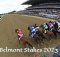 How to Watch Belmont Stakes 2023 Live Online