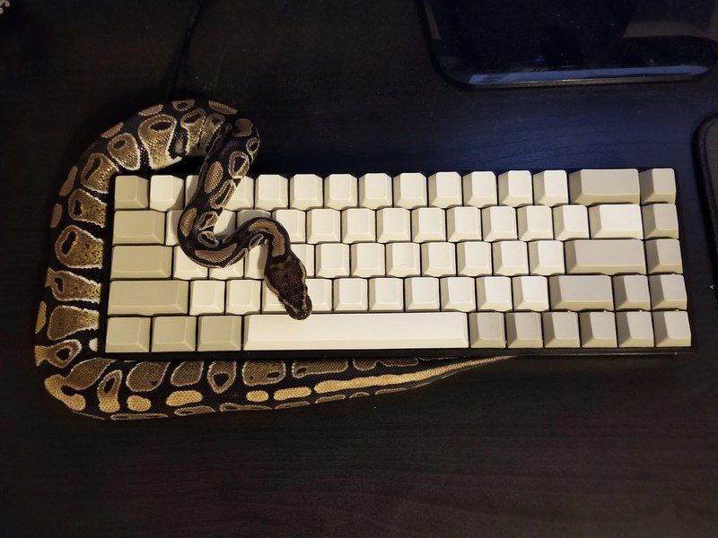 Arid Viper CyberAttack